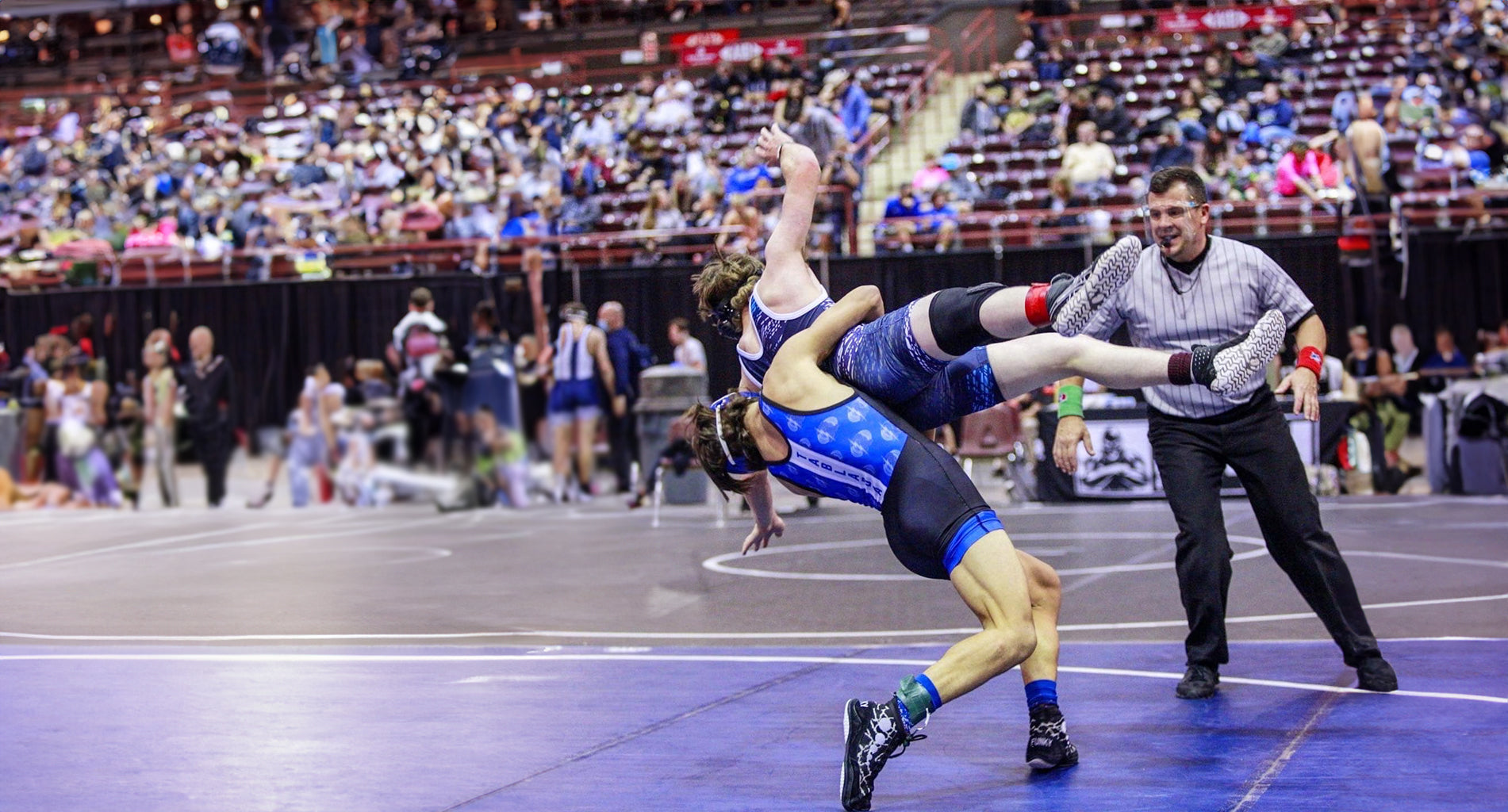 Wrestling Protecting The Business of Being Beyond the Ring: The Business of Being a Wrestler