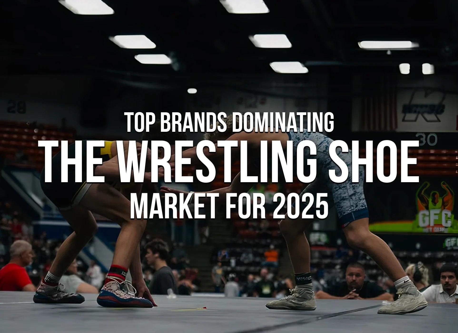 Top Brands Dominating The Wrestling Shoe Market For 2025