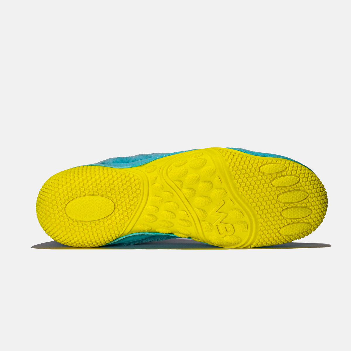 WB5.0 &quot;Care Bear&quot; Wrestling Shoes