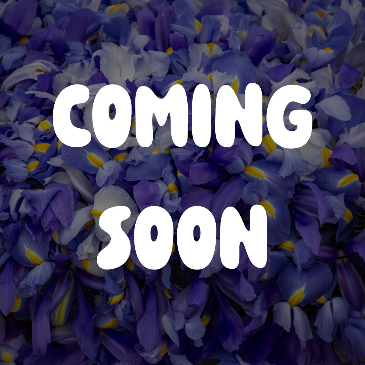 FFB Postlude &quot;Iris&quot; Wrestling Shoes