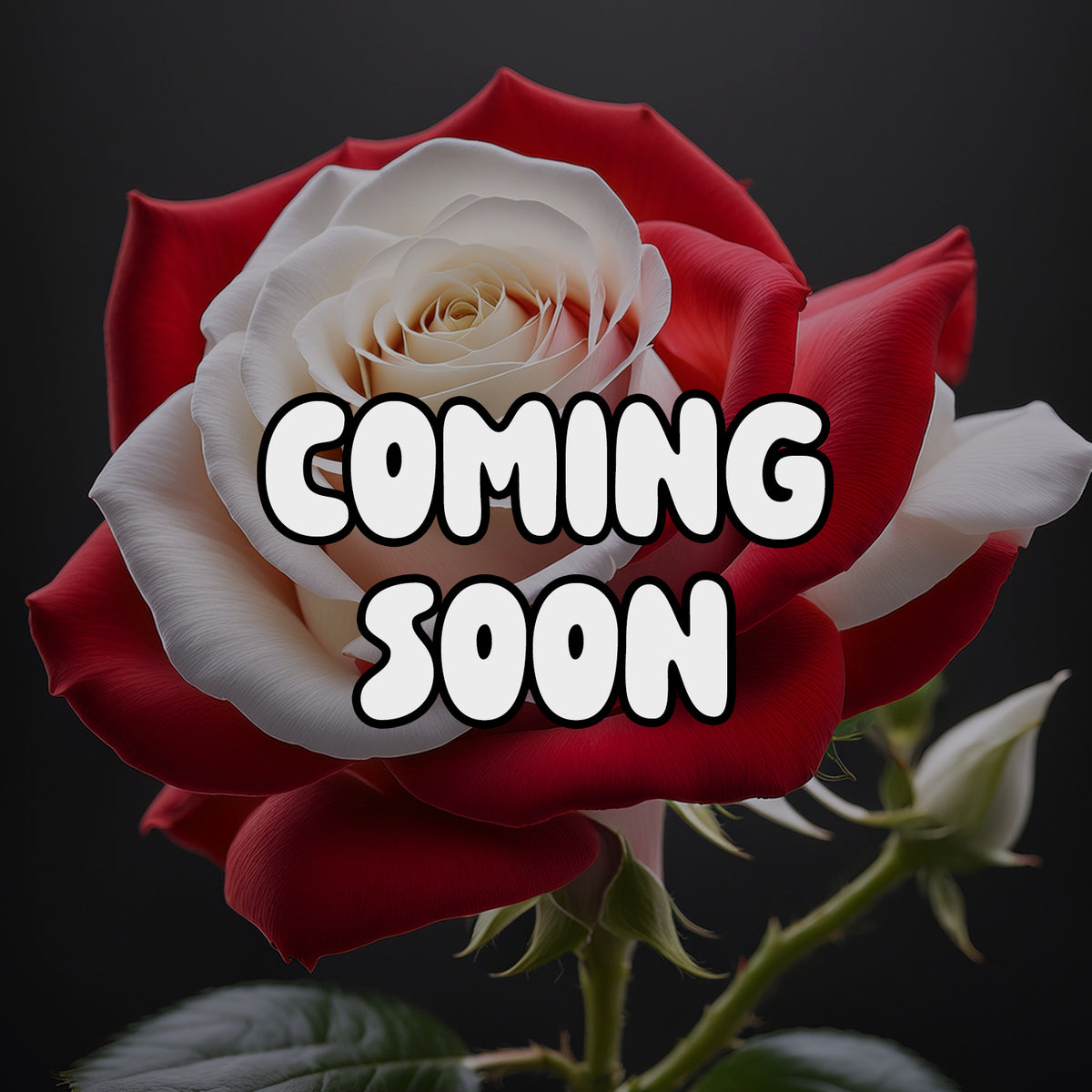 FFB Postlude "Thorn" Wrestling Shoes